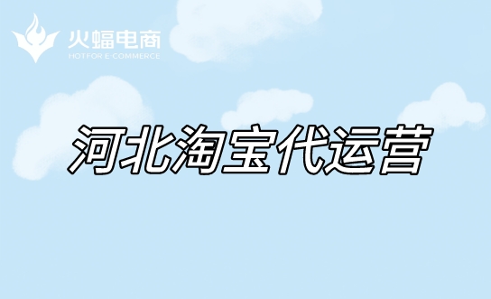 河北天貓代運營